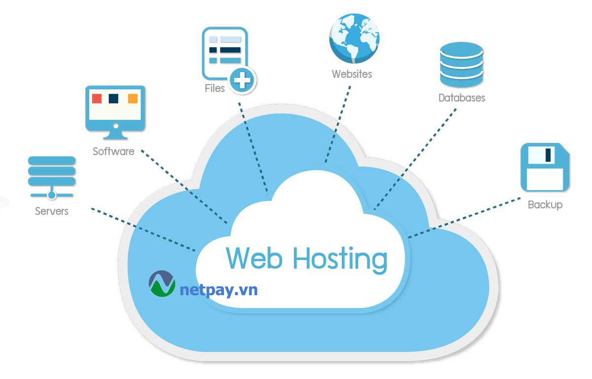 Hosting là gì? Thông tin Hosting cho người mới bắt đầu