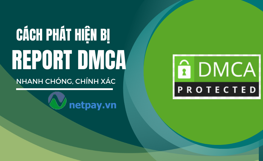 Cách phát hiện bị report DMCA nhanh chóng và chính xác